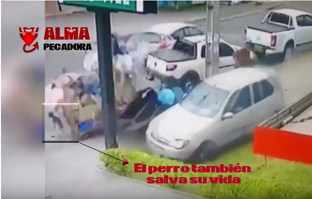 Video accidente - Vagabundo se salva de ser atropellado