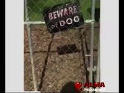 Cuidado con el perro peligroso Cuidado con el perro - Foto