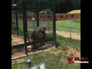 El zoo es divertido decían El zoo es divertido decían.... - Foto