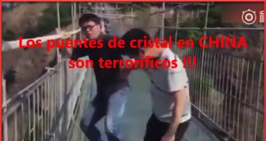 Los terrorificos puentes de cristal en China Los terrorificos puentes de cristal en China