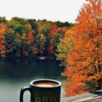 Precioso paisaje de otoño con buenas vistas y un café calentito