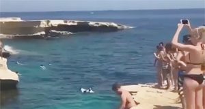 Un perro nunca te abandonará Un perro nunca te abandonará