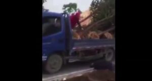 Cuando no te las ves venir Cuando no te las ves venir