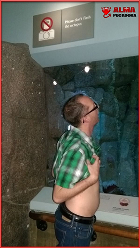 Cuando te prohíben usar el flash con el pulpo del acuario