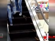 Rata atacando en unas escaleras mecánicas Rata atacando en unas escaleras mecánicas