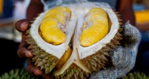 Confunden el olor de la fruta podrida con una fuga de gas Confunden el olor de la fruta podrida con una fuga de gas