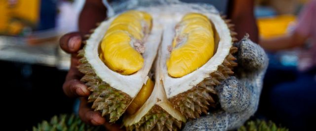Confunden el olor de la fruta podrida con una fuga de gas Confunden el olor de la fruta podrida con una fuga de gas