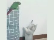 Video cuando ella te pilla mirándole el culo Video Cuando ella te pilla mirándole el culo