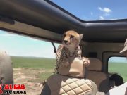 Ideas para llevarte a la suegra de vacaciones Ideas para llevarte a la suegra de vacaciones