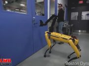 Los robots empiezan a acojonar mucho Los robots empiezan a acojonar mucho