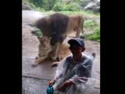 No hay nada como un buen dia en familia No hay nada como un buen dia en familia