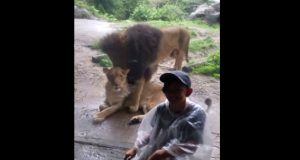 No hay nada como un buen dia en familia No hay nada como un buen dia en familia
