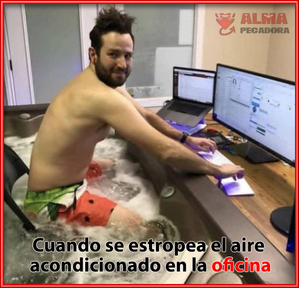 Gran idea para trabajar en la oficina si se estropea el aire acondicionado Gran idea para trabajar en la oficina si se estropea el aire acondicionado