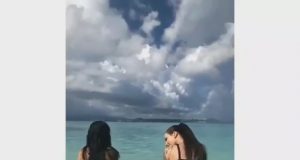 Los cangrejos cuando están desovando en la playa Los cangrejos cuando están desovando en la playa