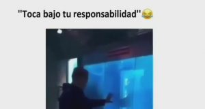 Si es que lo prohibido atrae y no puedes evitarlo Si es que lo prohibido atrae y no puedes evitarlo
