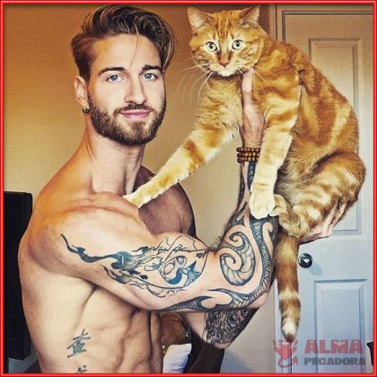 Si te gustan los gatos y los tios buenos seguro que te vas a descargar esta imagen sexy