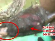 Muere una mujer tragada por una pitón de 7 metros en Indonesia