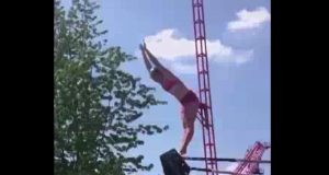 El trampolín más divertido del mundo El trampolín más divertido del mundo