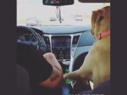 Cosas de novios en los coches Cosas de novios en los coches