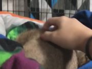 Cuando estoy durmiendo y me molestan Cuando estoy durmiendo y me molestan