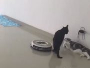 Cuando estoy ligando y se arrima un colega Cuando estoy ligando y se arrima un colega