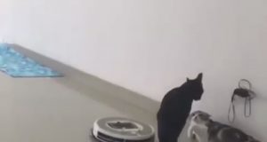 Cuando estoy ligando y se arrima un colega Cuando estoy ligando y se arrima un colega