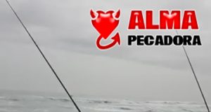 Buenos sitios de pesca surfcasting Buenos sitios de pesca surfcasting
