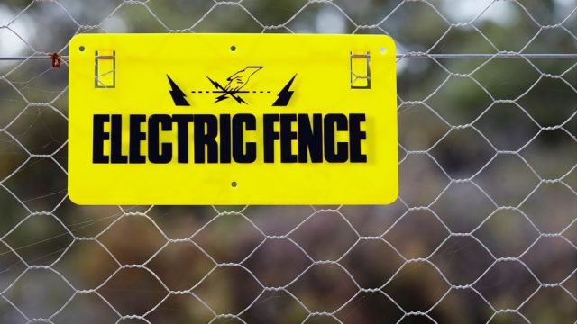Pone una valla eléctrica cerca de una parada de autobús escolar Pone una valla eléctrica cerca de una parada de autobús escolar