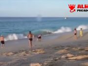 Una sirena varada en el mar con serios problemas Una sirena varada en el mar