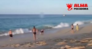 Una sirena varada en el mar con serios problemas Una sirena varada en el mar