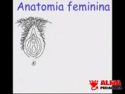 Clases de anatomía femenina – Aprende fácilmente Clases de anatomía femenina - Aprende fácilmente