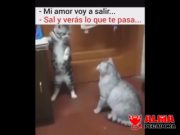 Salir de marcha cuando estás casado Salir de marcha cuando estás casado