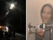 Queda atrapada en un árbol y la confunden con una lechuza Queda atrapada en un árbol y la confunden con una lechuza
