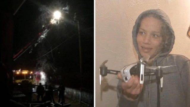 Queda atrapada en un árbol y la confunden con una lechuza Queda atrapada en un árbol y la confunden con una lechuza