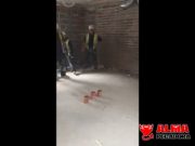 Bromas en el trabajo para reír mucho Bromas en el trabajo para reír