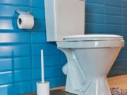 Juzgado por tirar la cenizas de sus abuelos al wc Juzgado por tirar la cenizas de sus abuelos al wc