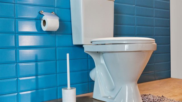 Juzgado por tirar la cenizas de sus abuelos al wc Juzgado por tirar la cenizas de sus abuelos al wc