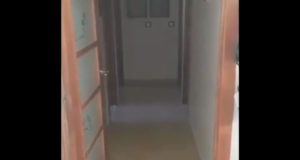 Vídeo de los efectos de las drogas Vídeo de los efectos de las drogas