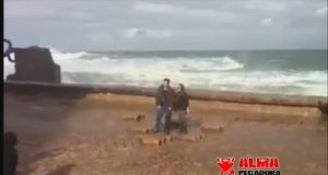 Ya han llegado los turistas al norte Ya han llegado los turistas al norte