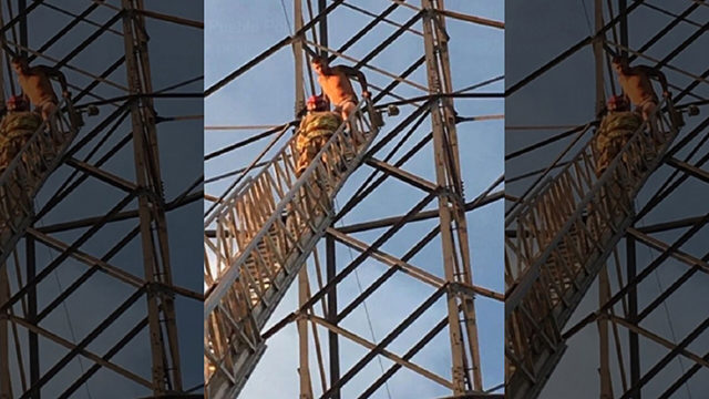 Hombre desnudo atrapado en torre de alto voltaje Hombre desnudo atrapado en torre de alto voltaje