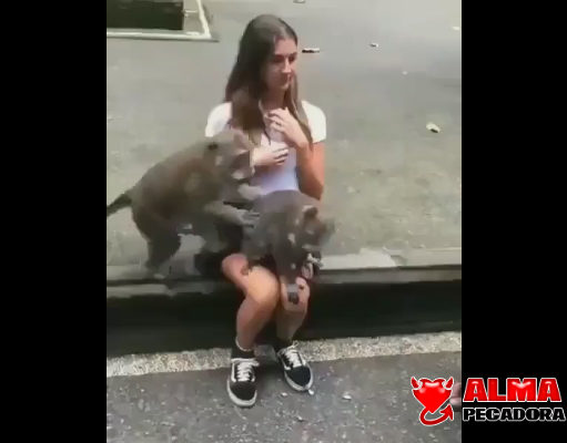 No te gusta ver porno con el novio y el karma te la devuelve No te gusta ver porno con el novio y el karma te la devuelve