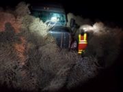 Conductores atrapados en Año Nuevo por miles de Salicornios Conductores atrapados en Año Nuevo por miles de Salicornios o plantas rodadoras