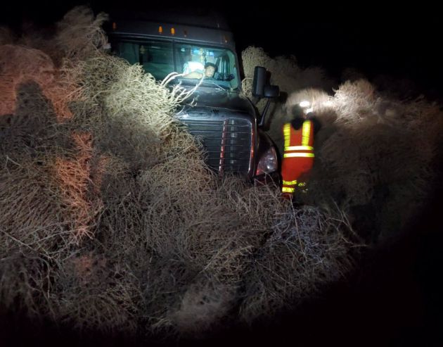 Conductores atrapados en Año Nuevo por miles de Salicornios o plantas rodadoras Conductores atrapados en Año Nuevo por miles de Salicornios o plantas rodadoras