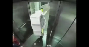Video con la mejor broma en un ascensor Video con la mejor broma en un ascensor