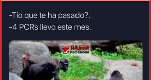 Los mejores memes del Coronavirus Meme las nuevas PCR anales